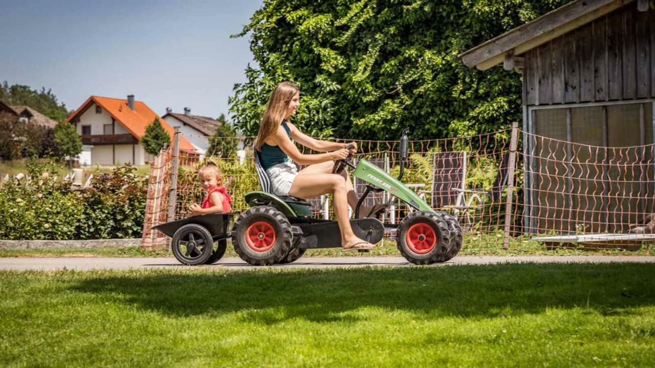 Urlaub Am Regen - Ferienhof Dirnberger Nittenau Exteriör bild